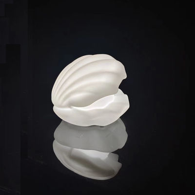 16 রঙ পরিবর্তন বেতার রাতের আলো RGB LED seashell আলো